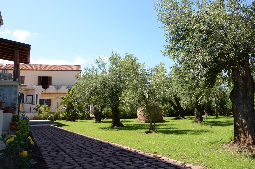 Villa D'Aquino Tropea Exterior foto